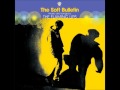 The Spiderbite Song - The Flaming Lips
