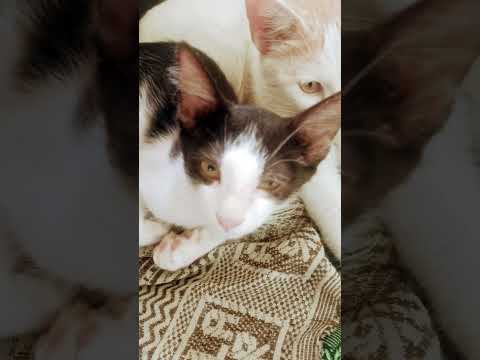 😘😘🥰🥰♥️🥰💞💞🙏🏻🙏🏻