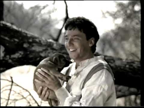 PELGRIMSRUS EN SY VERGETE VERHALE BLY NOG NET SO MOOI SOOS DIE PRAGTIGE OMGEWING SAAM DIE HOND