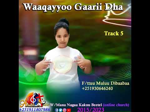 Faarfattuu Muluu Dibaabaa