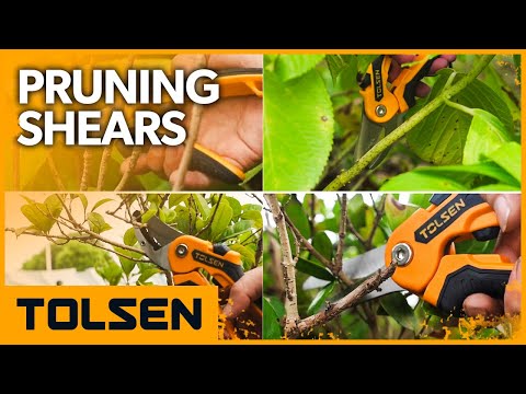 Миниатюра изображения товара Секатор механический Tolsen Industrial / 31035