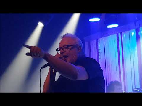 Stijn Meuris - Panamarenko - LIve @ AB Club 2017