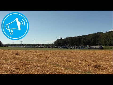 BLS Re 465 mit schönem, langen Horn