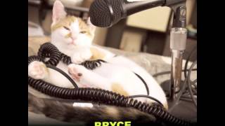 &quot;Super Bon Bon&quot; - Soul Coughing / Mike Doughty Cover