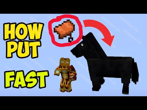 MINECRAFT 1.19.4 How to Put a Saddle On a Horse (2023)