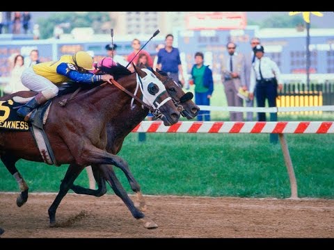 TANK'S PROSPECT - Preakness Stakes 1985