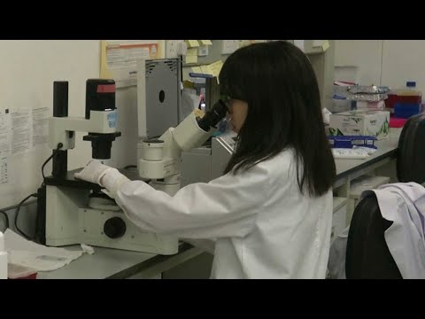 download lagu mp3 mp4 Hiv Clinic Hong Kong, download lagu Hiv Clinic Hong Kong gratis, unduh video klip Hiv Clinic Hong Kong
