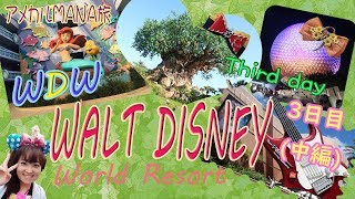【WDW】ウォルトディズニーワールド旅行記3日目(中編)アメカルMANA旅ディズニー・ハリウッドスタジオ