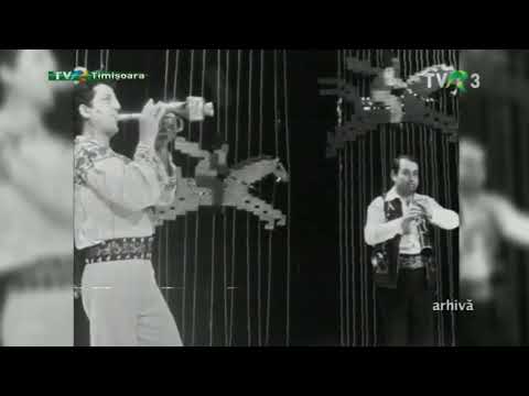 Constantin Gherghina si Luca Novac ( Arhiva 1979 )