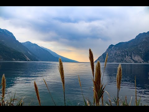 Tango in Mumbai   Quincas Moreira, Yoga and meditation music, deep sleep, relaxing music