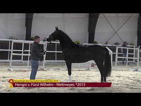 Fürst Wilhelm - Weltmeyer *2015