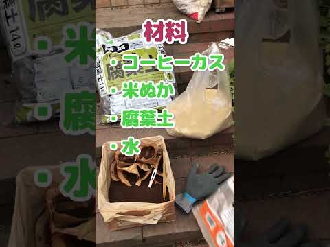 庭のコーヒーかす: 避けるべき間違いは何ですか?  庭園