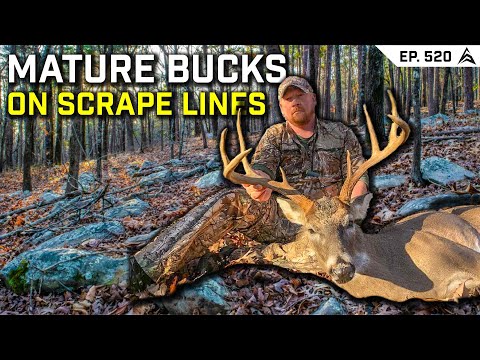Scrape Lines: The Secret to Tagging Mature Bucks