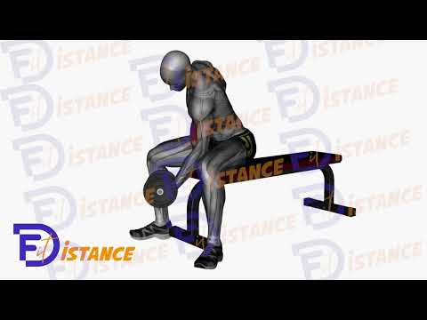 Exercice Curls concentrés haltère