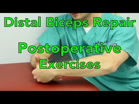 Distal biceps Tendon Repair Initial Postoperative Stretching Exercises