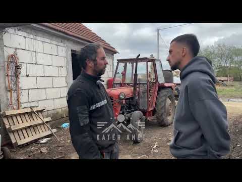 "100 litra në ditë"/ Ky është fermeri nga fshati Sazli që kujdeset për 20 krerë lope