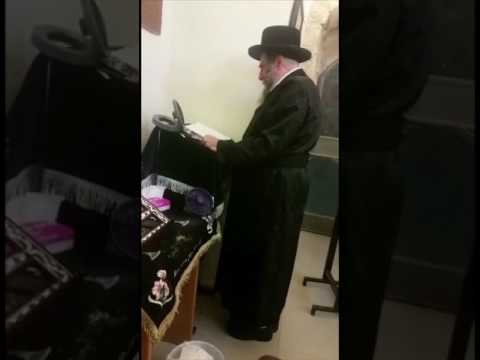 Rachmastrivka Rebbe Counting The Omer In Safed, Israel