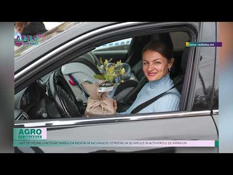 SURPRINȘI CU PUIEȚI DE STEJAR