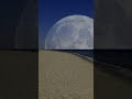 Moon rise