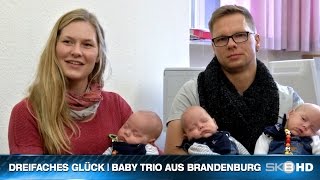 preview picture of video 'SKB HD | DREIFACHES GLÜCK - BABY TRIO AUS BRANDENBURG'