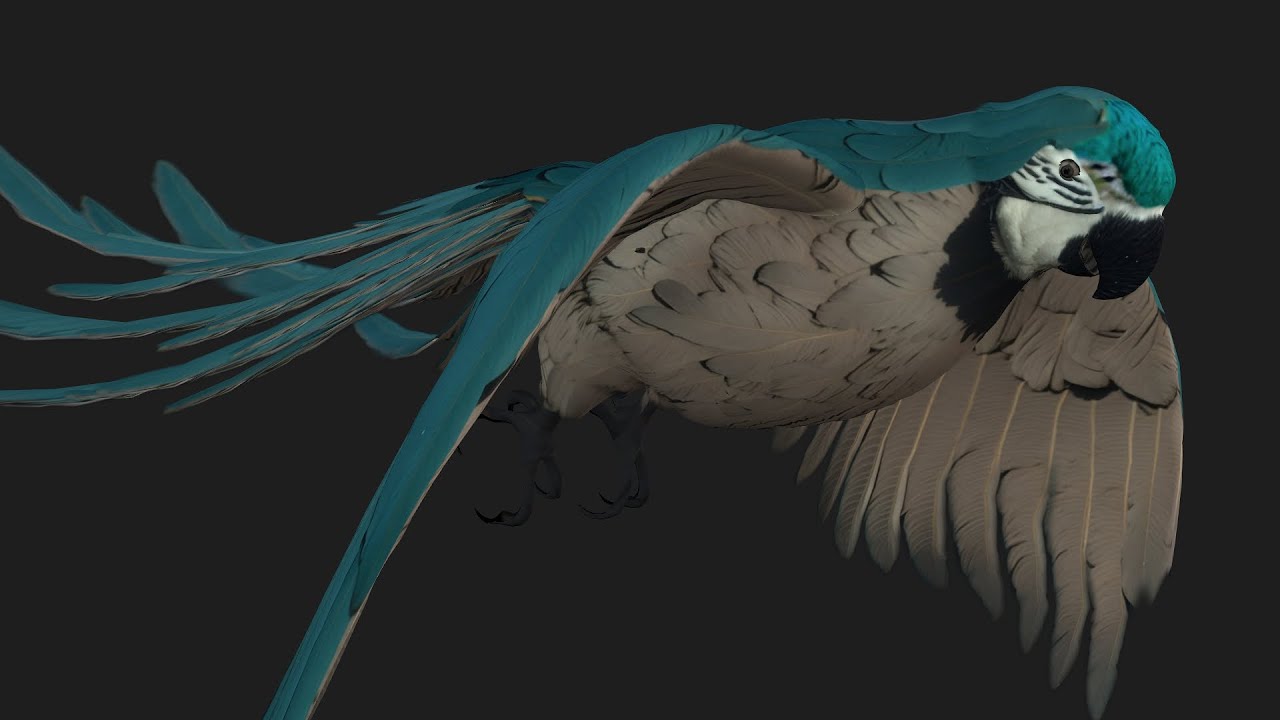 PerroquetA12 Modèle 3D