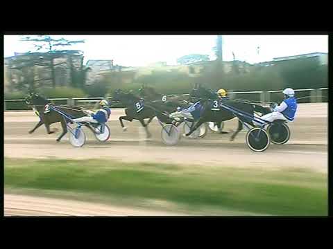 Trotto 08/03/2020 - 3ª corsa