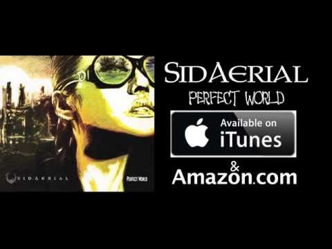 SidAerial - Perfect World (official video)
