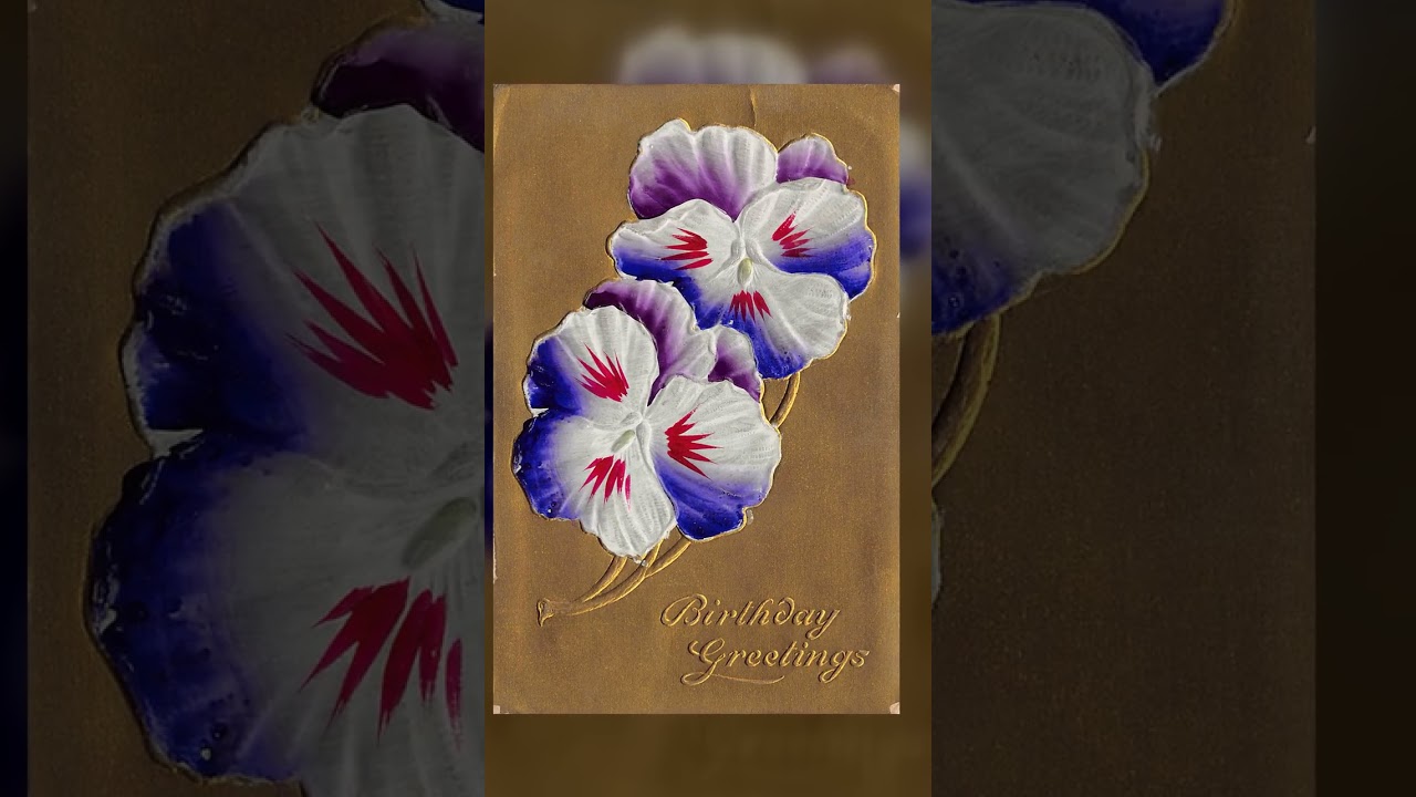 German-American Novelty Art Series, Divided Back, Birthday Greetings, 1909 Video