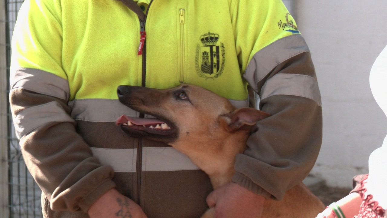 Visitamos el Refugio de tránsito de mascotas Visitamos el Refugio de tránsito de mascotas