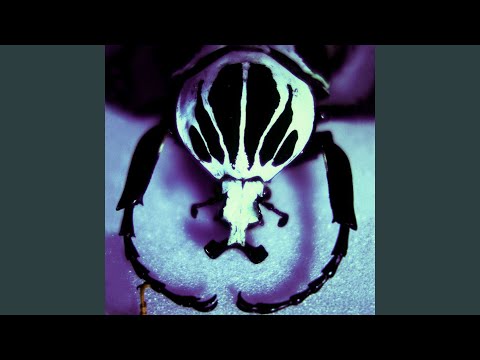 Dont Wreck It - The Age of Electric