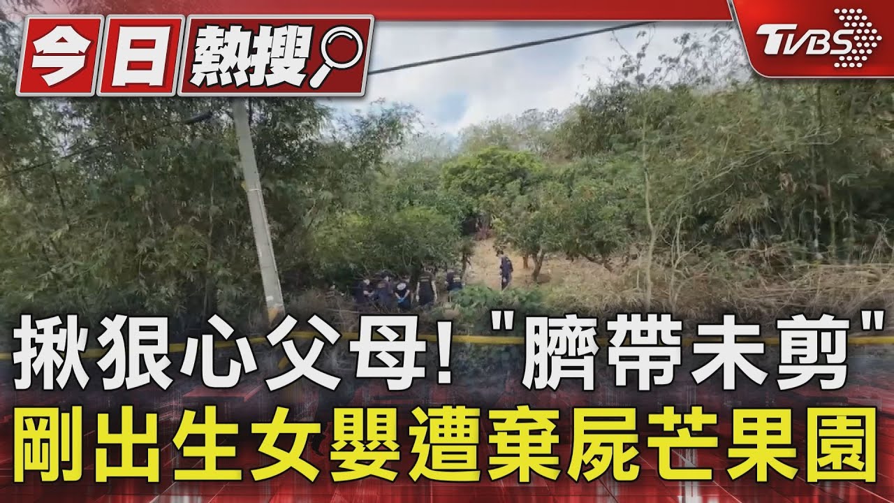 揪狠心父母!「臍帶未剪」剛出生女嬰遭棄屍芒果園