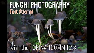FUNGHI PHOTOGRAPHY-FIRST ATTEMPT-with the TOKINA 100mm F2.8 Macro Lens
