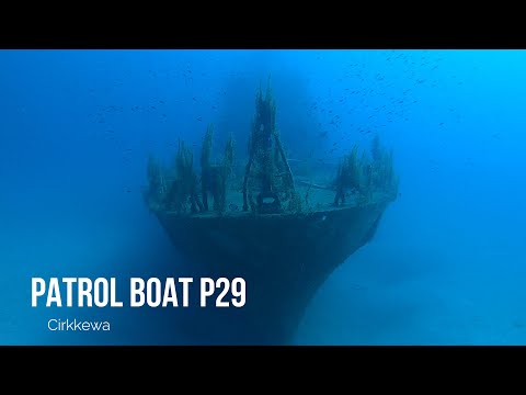 Cirkkewa: P29 & Rozi November 2020