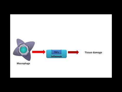 INFLIXIMAB 100MG INJECTION(INFIMAB 100), REMICADE INFLIXIMAB 100MG INJECTION EXPORTER FROM INDIA