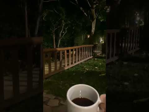 GUARAMIRANGA CE #travel #serra #foryourpage