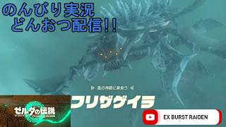 どんおつ配信「ゼルダの伝説 ティアーズオブザキングダム」13