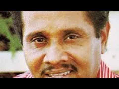 indi gaha yata wadi wela- Freddie Silva.