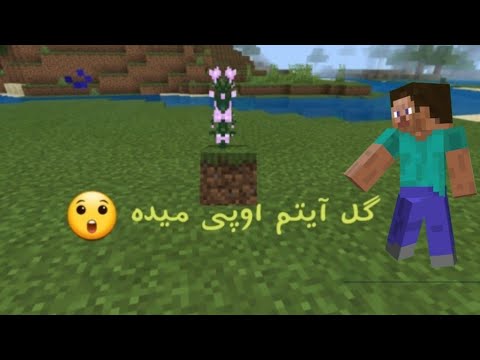 Flowers in Minecraft give OP items?!