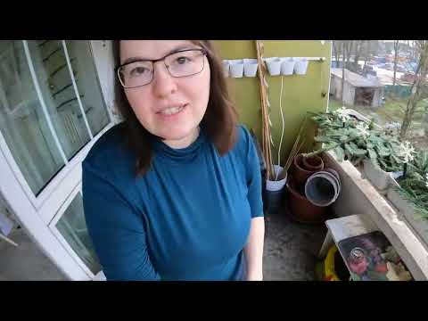 🧹 Raus aus dem Messi Chaos 🧹 | Daily Vlog