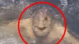 7 Chernobyl Monsters Caught On Video &amp; SPOTTED IN REAL LIFE