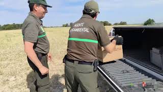 4ª Parte - Y el Milano volvió a la Naturaleza