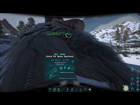 Solo the Ark - Ep 164