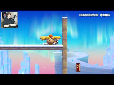 8/18/2020 | Super Mario Maker 2 | Endless Challenge + Playing Viewer Levels | Full Stream