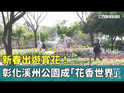 新春出遊賞花！　彰化溪州公園成「花香世界」美不勝收