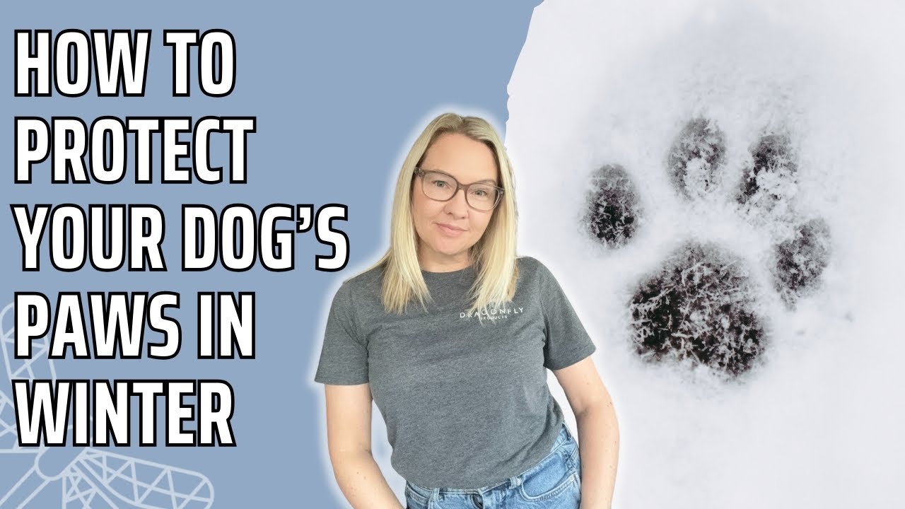Winter Paw Care