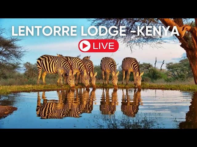 オルキリマティアン自然保護区 @Lentorre Lodge