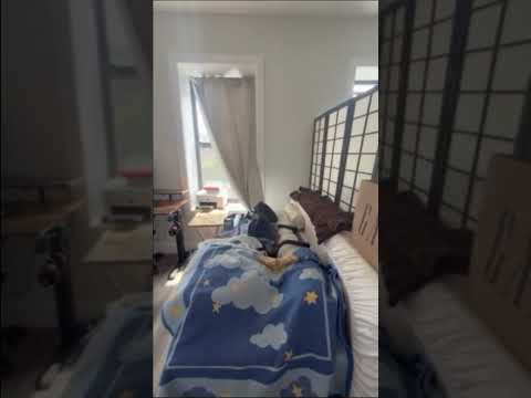video 1