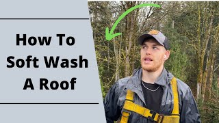How To Soft Wash A Roof | Remove Black Streaks | Kill Moss
