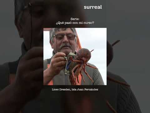 Liceo Dresden, Archipiélago Juan Fernández