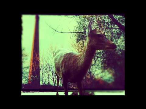 alaif o - dechno mit b